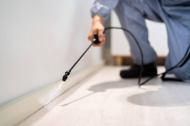 Bed Bug Pre-Treatment Preparation Assessment in Spencer