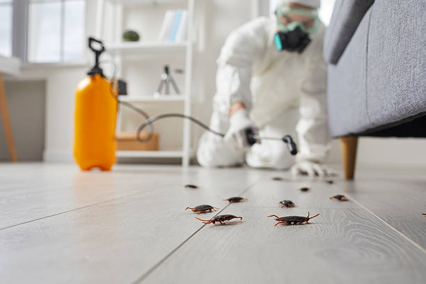Post-Treatment Bed Bug Interceptor Monitoring in Spencer