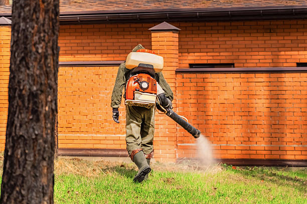 Bed Bug Clearance Verification and Documentation in Spencer